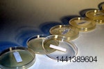 petri dishes for testing salmonella in animal feed