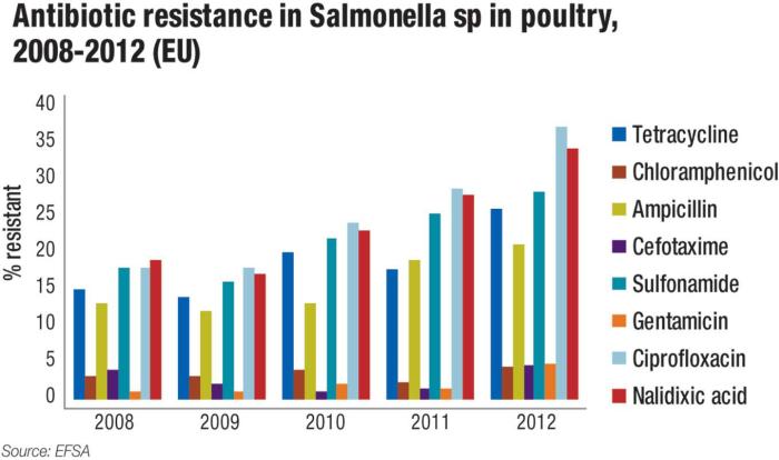 Salmonella antibiotic resistance