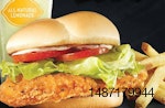 chicken-sandwich-and-fries
