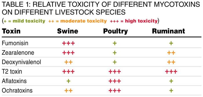 relative toxicity of different mycotoxins