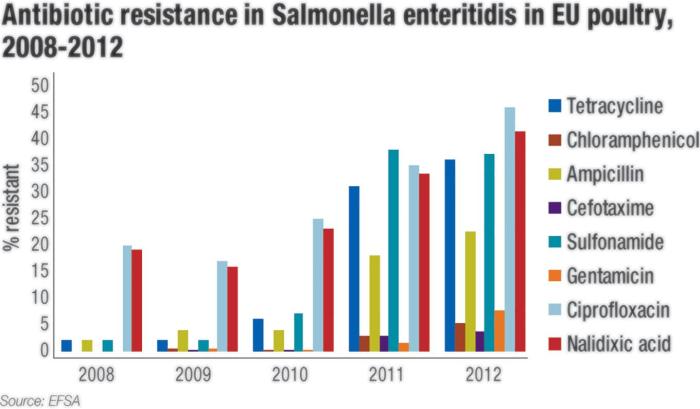 salmonella enteriditis resistance