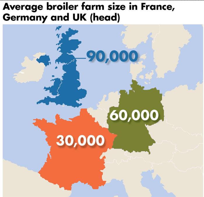 average-farm-size-1512PIfrenchbroiler2.jpg