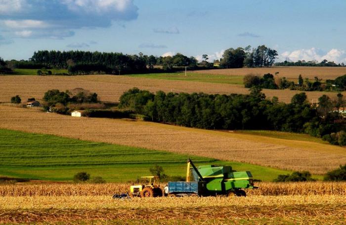 corn-field-harvest-combine.jpg