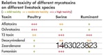 mycotoxin-toxicity-1512PImycotoxinpoultry1.jpg