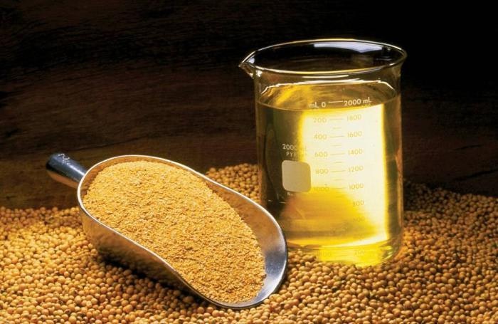 soybeans-meal-oil.jpg