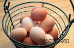 Brown and white eggs in a basket