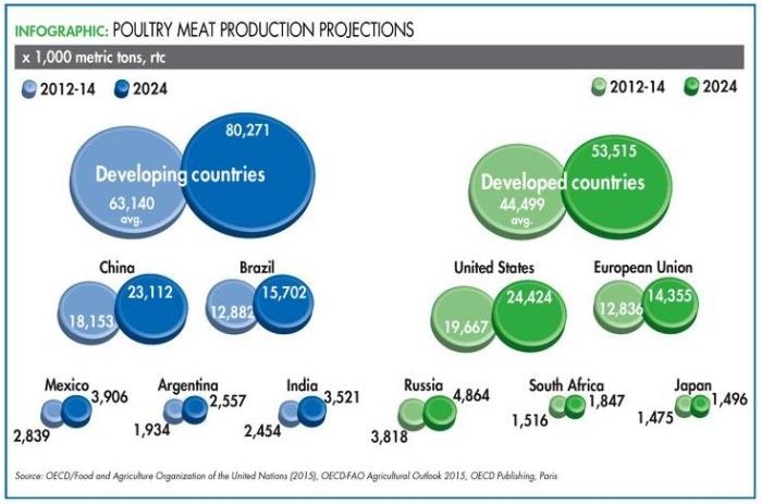 A chart of poultry meat production projections
