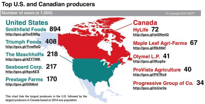 Top US and Canadian pig producers