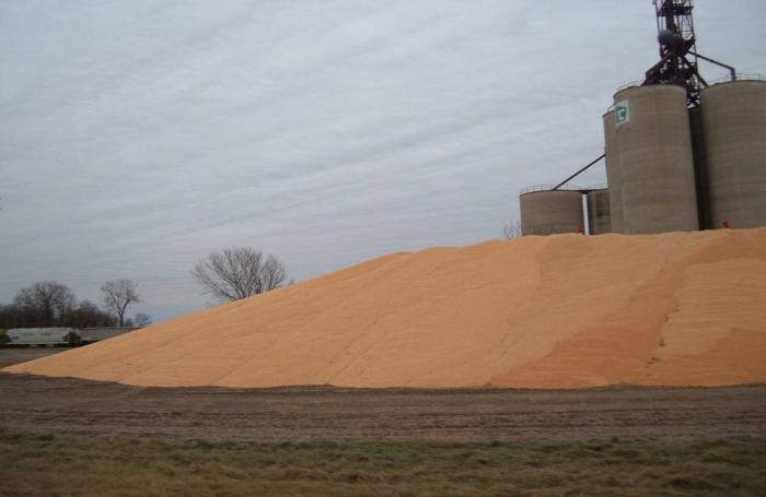 corn-grain-bins.jpg