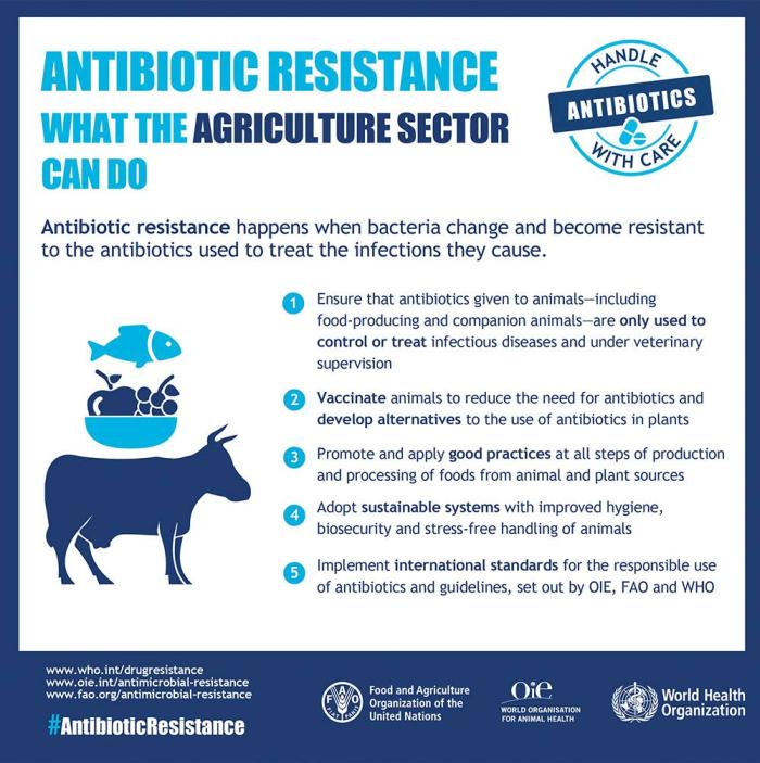 livestock-guaidance-1601PIantibioticresistance2.jpg
