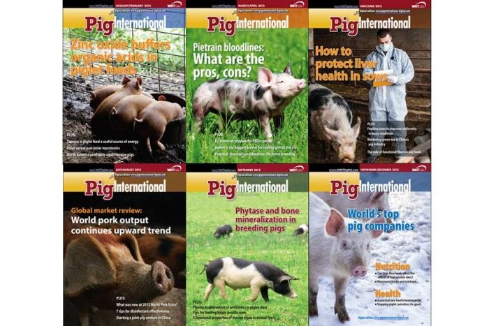 pig internationa 2015 covers