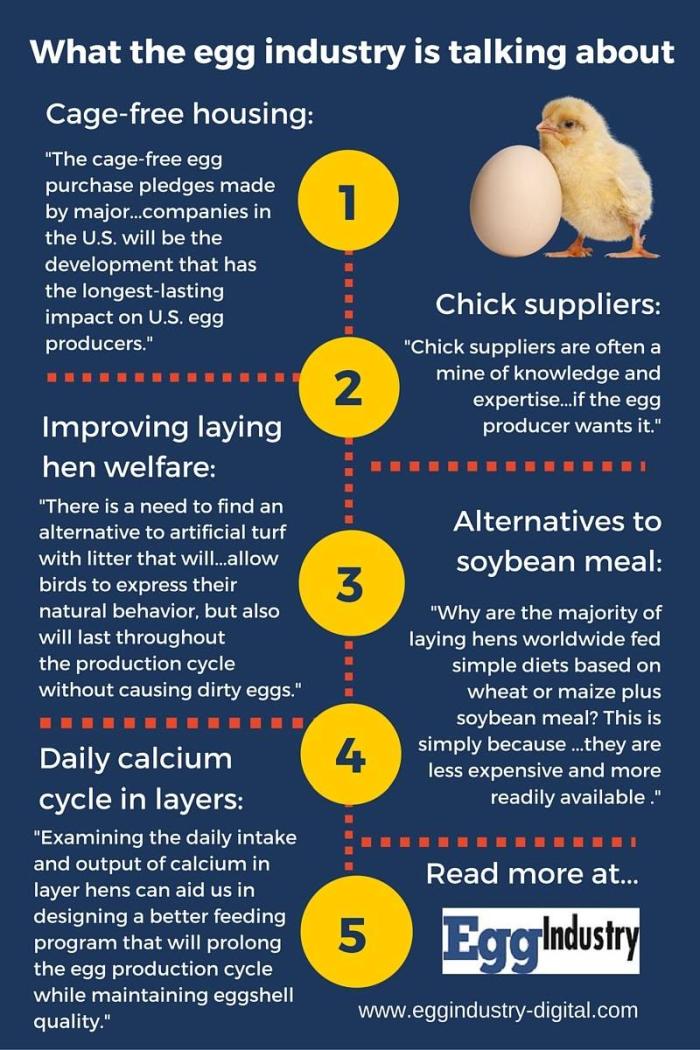 egg industry infographic