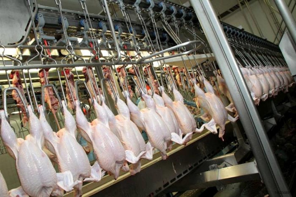 Wayne-Sanderson Farms expands chicken wing portfolio. 