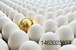 eggs-one-golden.jpg