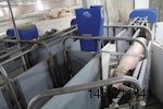 electronic sow feeding system materials