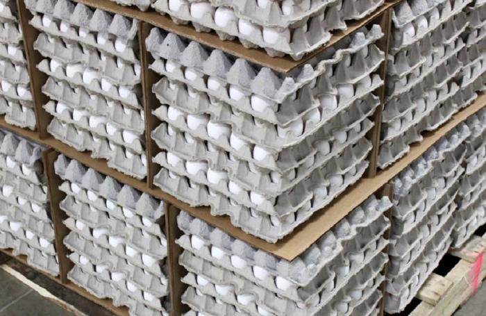 En mayo entrante se cumplirá el primer año de expedición de la norma técnica NTC 6116 sobre producción de ovoproductos en Colombia.