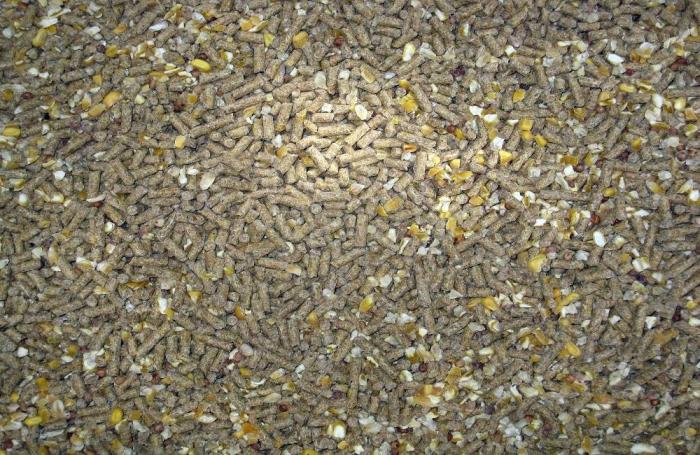 pellets-grains.jpg