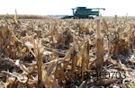 corn-combine.jpg