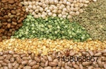 different-pulses-seeds