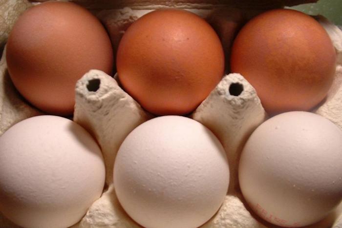 white eggs brown eggs