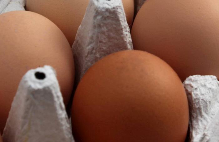 Rembrandt Foods eggs