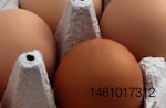 Rembrandt Foods eggs