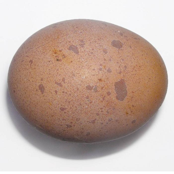 zinc-deficiency-brown-speckled eggs-1606PIlayernutrition2.jpg