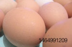 Australian free-range eggs