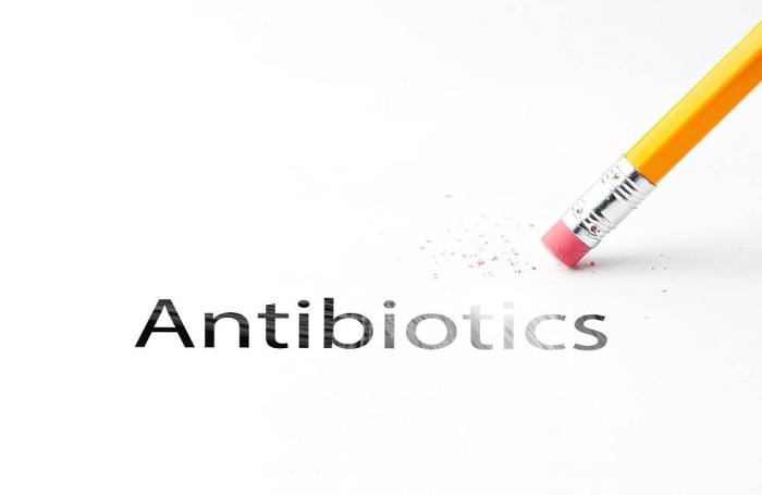 antibiotics-eraser.jpg