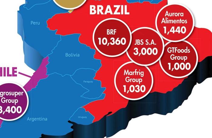 Top feed companies in Brazil