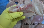Poultry hemorrhage
