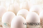 eggs-in-crate-1607EI.jpg