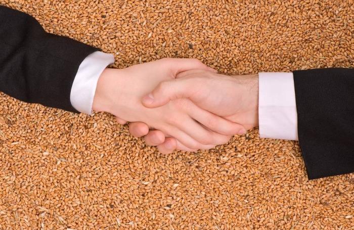 Business handshake over wheat grains