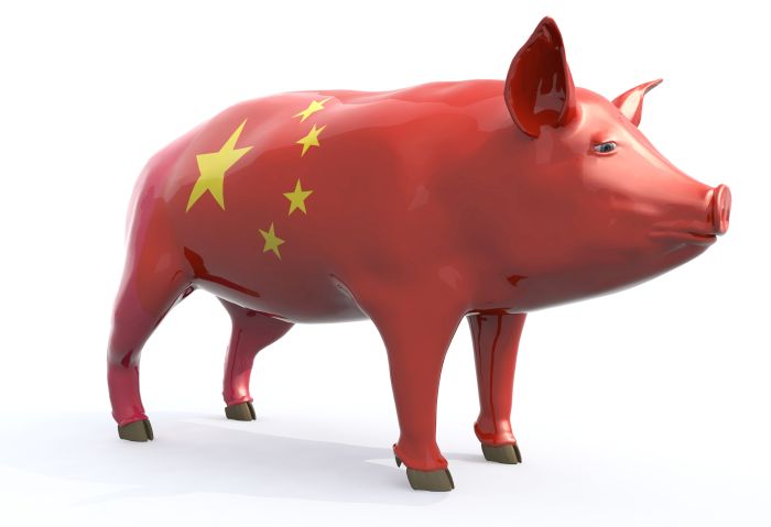 China-pig