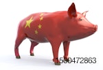 China-pig
