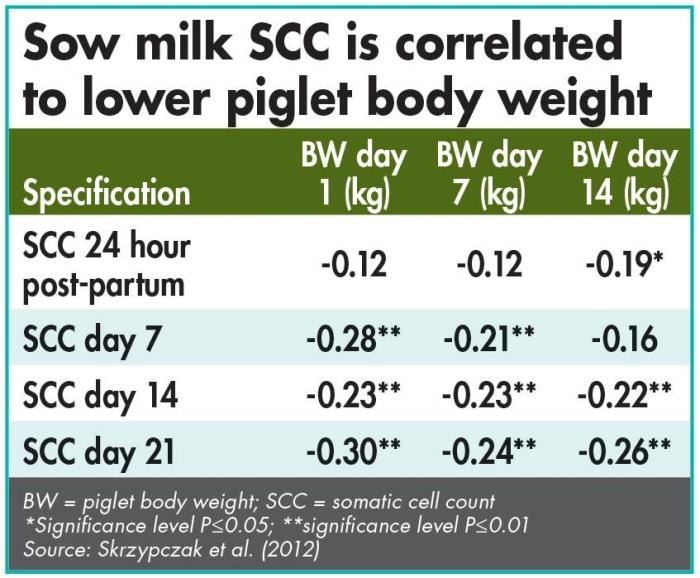 sow milk somatic cell count