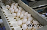 Otro golpe más a la industria del huevo