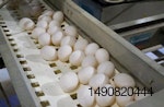 Cage-free eggs on a roller.