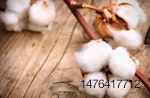 cotton wood fibers in animal feed