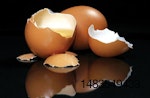 Fresh-Brown-Eggs-Broken.jpg