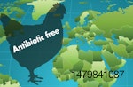antibiotic-free-chieckn-1701PItoddsoutherland1.jpg