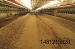 windrow-composting-poultry-litter.jpg