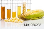 Ethanol-Biofuel.jpg