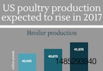 US-poultry-production-lightbox.jpg