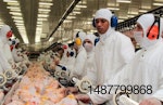 Brazilian poultry processing