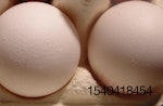 Cargill-eggs-Mason-City