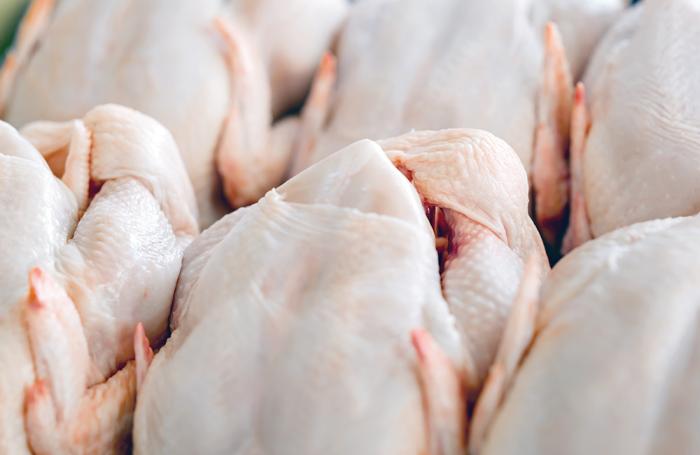 How to maintain broiler carcass quality during evisceration | WATTAgNet |  WATTPoultry