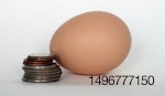 egg-coins.jpg