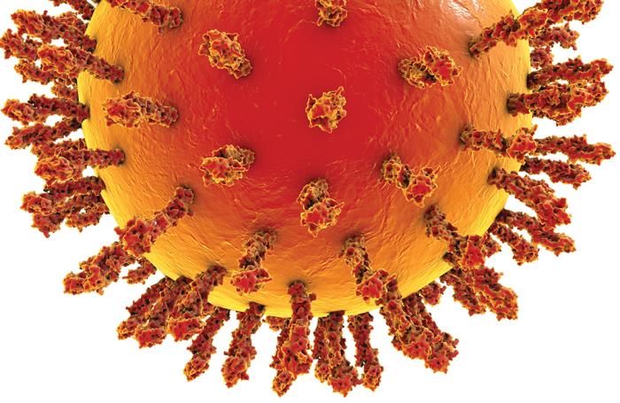 avian-influenza-virus-1.jpg