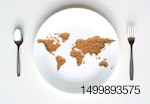 plate-fork-knife-world-map-grains.jpg